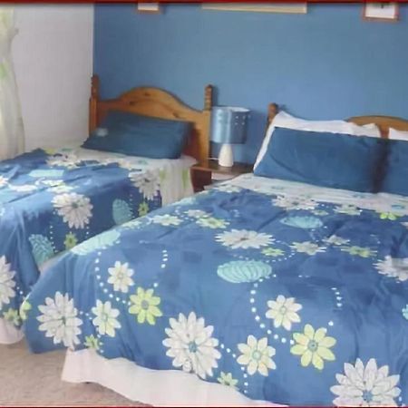 The Yellow Rose B&B Belderg Luaran gambar