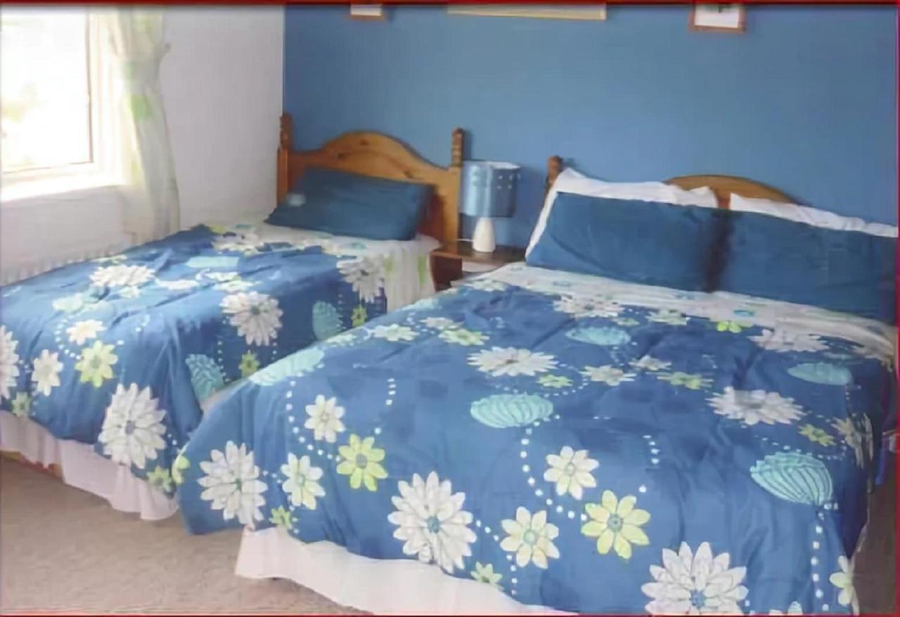 The Yellow Rose B&B Belderg Luaran gambar